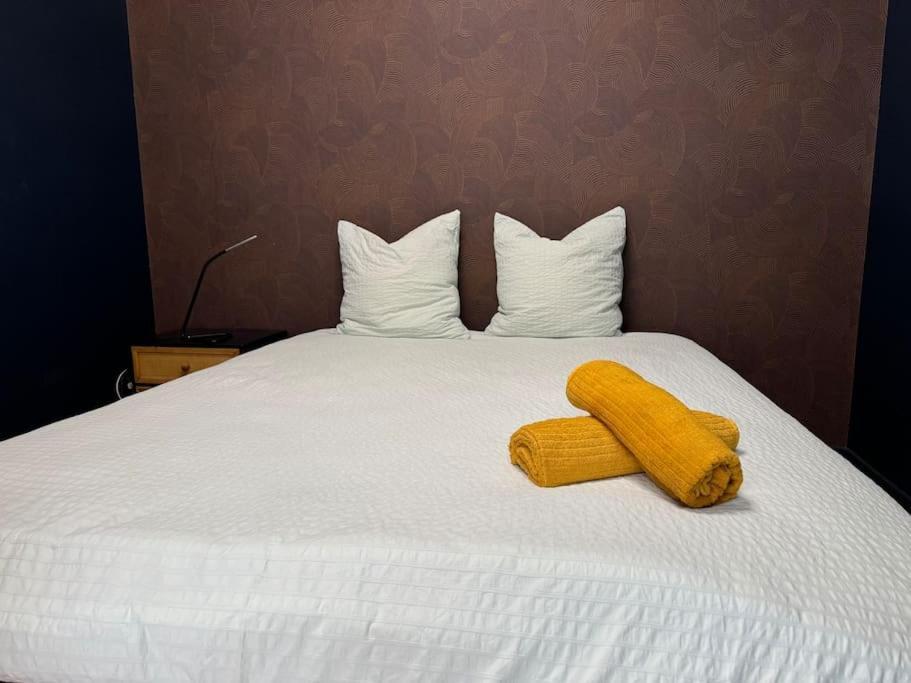 Evasion Crampel Cosy Proche Centre Toulouse